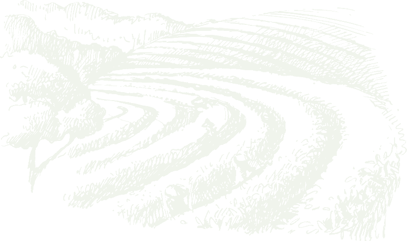 footer-image